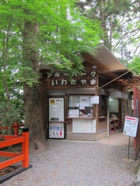 IwatayamaMonkeyPark10