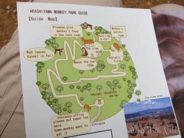 IwatayamaMonkeyPark12