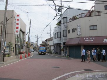 IwatayamaMonkeyPark3