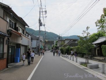IwatayamaMonkeyPark4