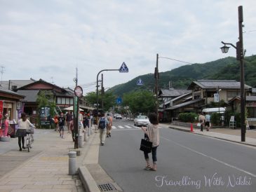 IwatayamaMonkeyPark5