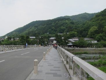 IwatayamaMonkeyPark6