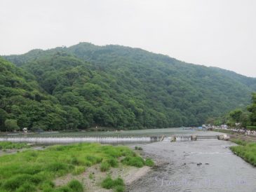IwatayamaMonkeyPark7