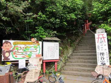 IwatayamaMonkeyPark9