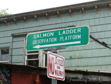 DisneyWonderAlaskaDaySixKetchikan20