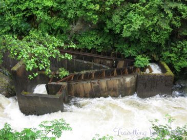 DisneyWonderAlaskaDaySixKetchikan21