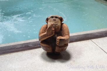 DoNotDisturbMonkeyKohSamui
