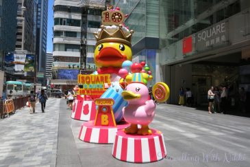 iSquareBDuck1