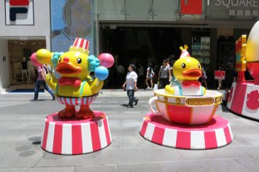 iSquareBDuck4