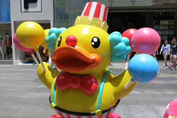 iSquareBDuck5