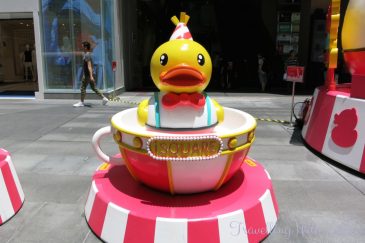 iSquareBDuck6