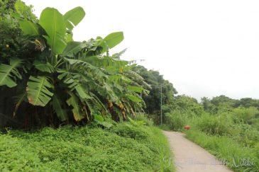 lammaislandfamilytrail22